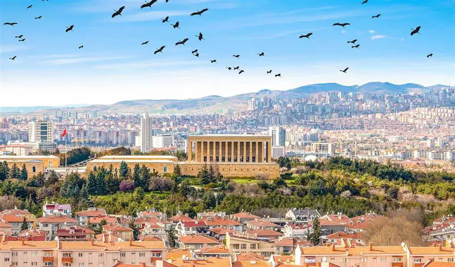 Ankara Web Tasarım