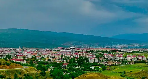 Bingöl Web Tasarım