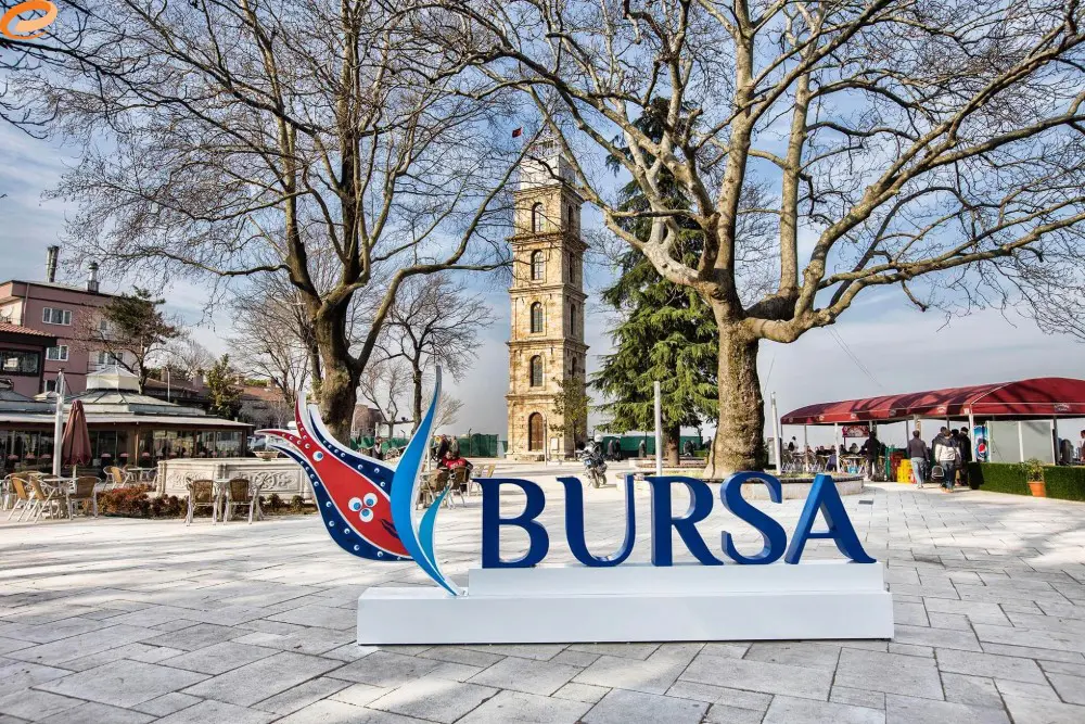 Bursa Web Tasarım
