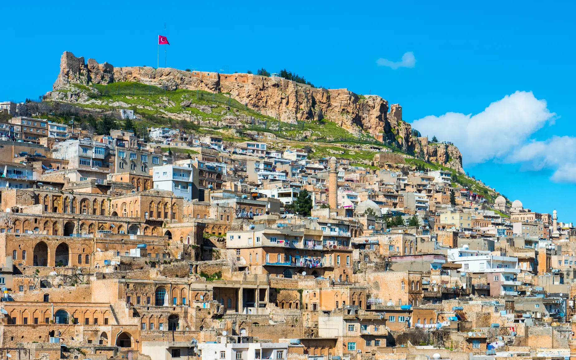 Mardin Web Tasarım