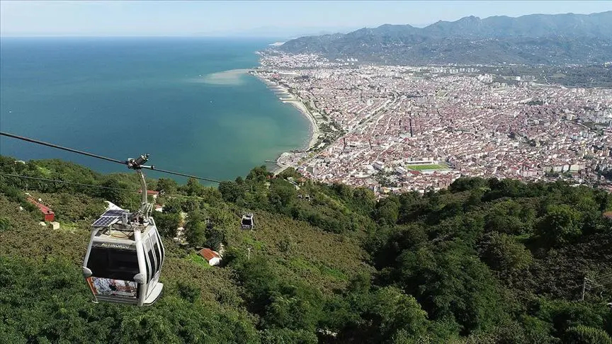 Ordu Web Tasarım