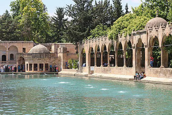 Şanlıurfa Web Tasarım