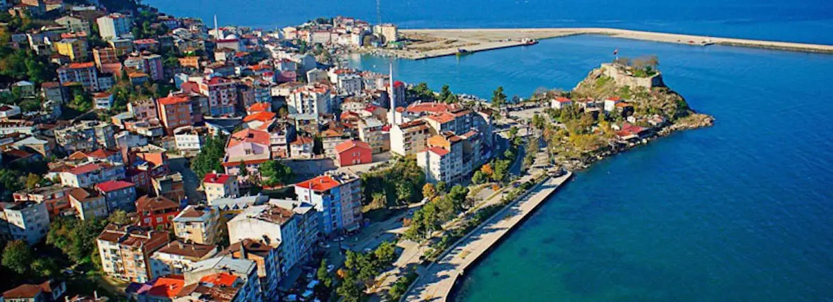 Tirebolu Web Tasarım