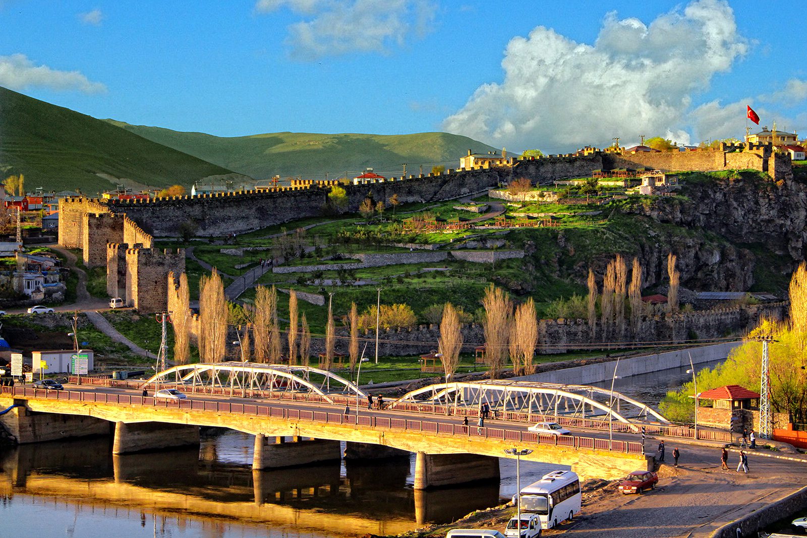 Ardahan web Tasarım