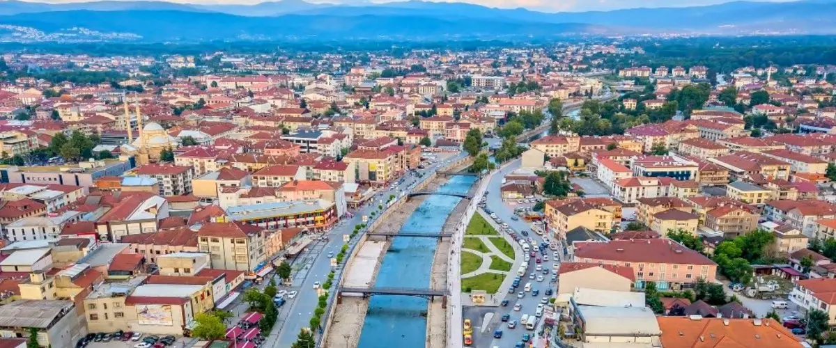Düzce Web Tasarım