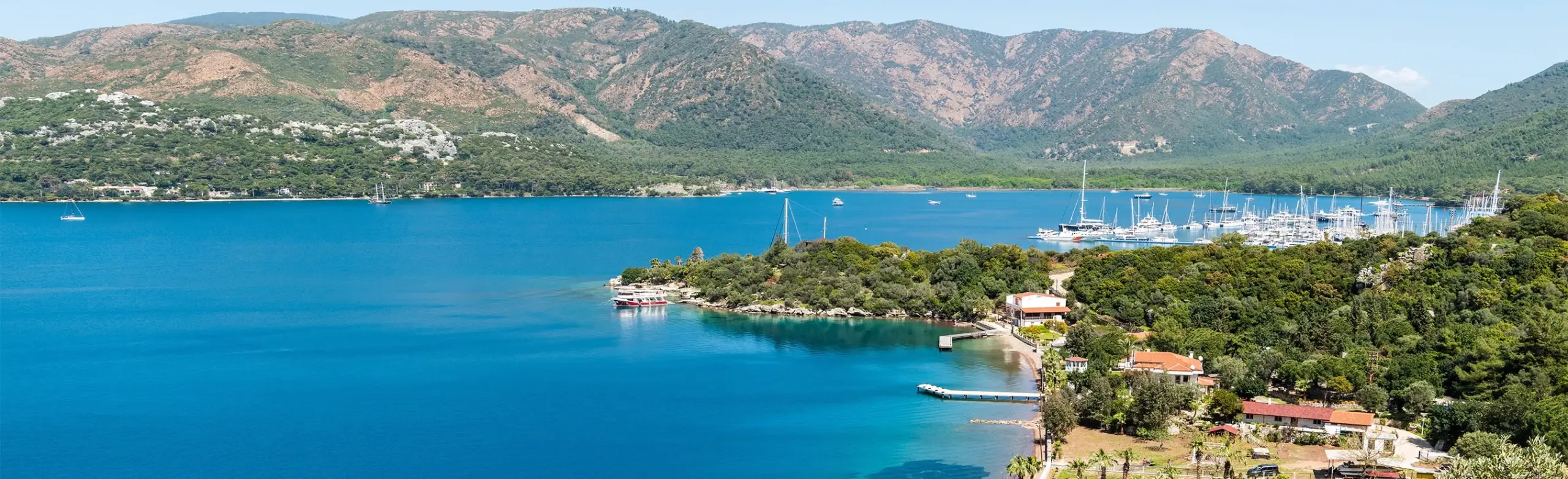 Muğla Web Tasarım