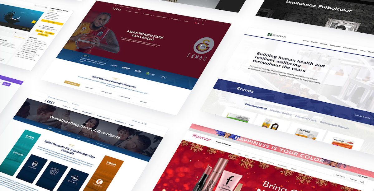 Profesyonel Web Tasarım