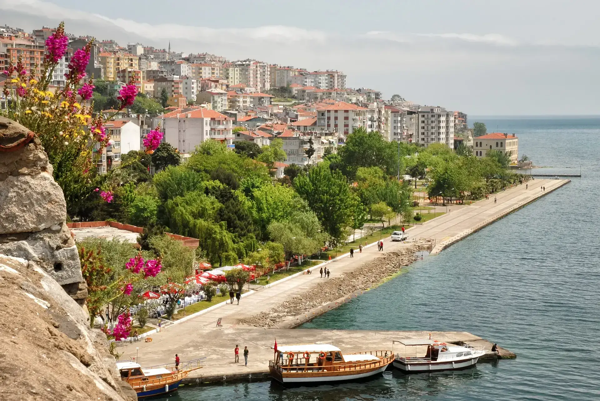 Sinop Web Tasarım