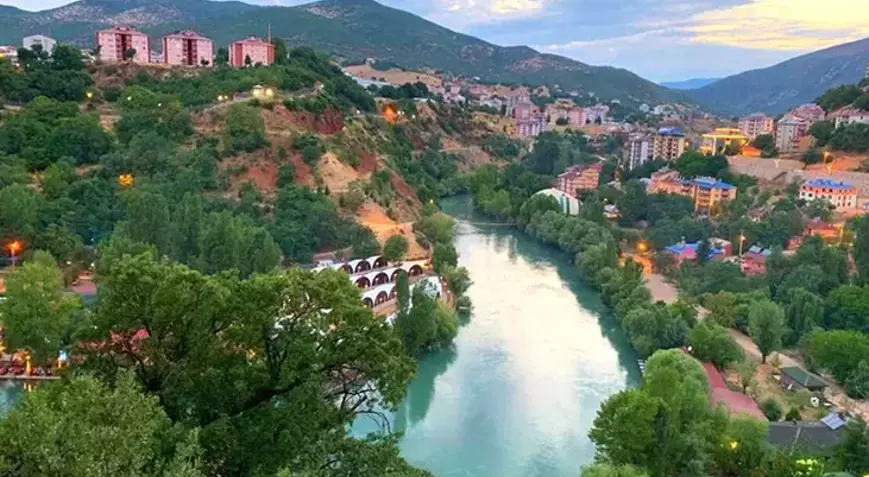 Tunceli Web Tasarım