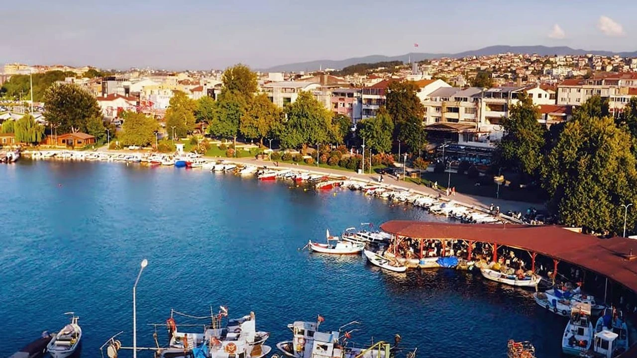 Yalova Web Tasarım